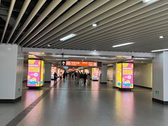 -东方体育中心(地铁站)