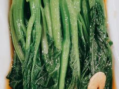 白灼广东菜心-顺风海鲜港(金玉兰店)