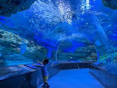 -海合安成都极地海洋公园