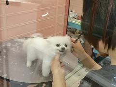 -FAELING PETS美天灵宠物(合生汇店)