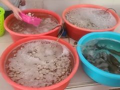 -潭门港海鲜大排档(琼海店)