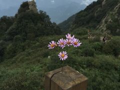 -白草畔自然风景区