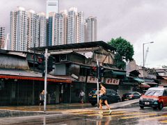 -油麻地果栏