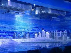 -大连老虎滩海洋公园