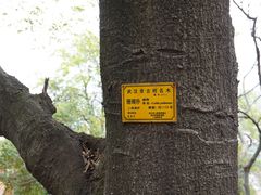 -宝通禅寺