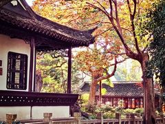 -上海醉白池公园