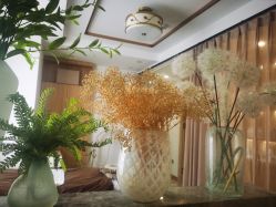 -归真美学颜究中心