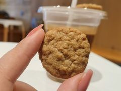 -Cafe del Volcan(永康路店)