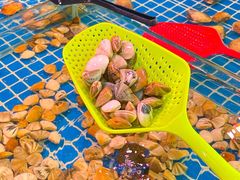 -巽寮印象美食部落餐厅·海鲜·地方特色菜(惠州体验店)