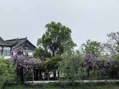 -杏花村文化旅游区