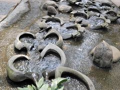 -成都市活水公园