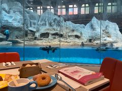 -帝企鹅自助餐厅•儿童岛•真企鹅(长隆企鹅酒店)