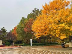 -北京国家会计学院