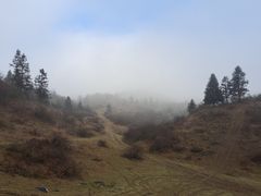 -武陵山森林公园
