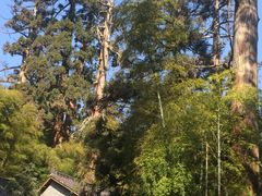 -天目山-昭明禅寺