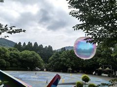 -杭州少年儿童公园