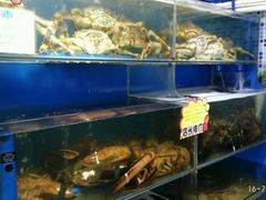 水产区-蚝专家(北滘店)