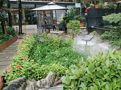 -蘇河湾·新鲁菜·泰山宴(泰山店)