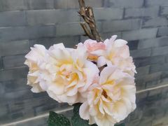 -有喜胶东小馆(超极合生汇太申祥和店)