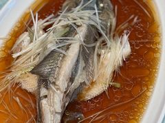 -洪湖家庭农场·团建·露营·会议