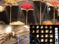 -中国湿地博物馆