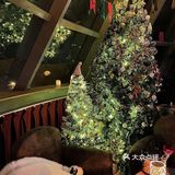 杭州室内圣诞树🎄有节日那味儿了|||🧚🏻‍♀️IDEAL 长廊