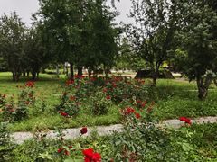 -太阳宫公园