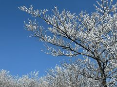 -东天目山风景区