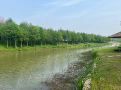 -合肥滨湖国家森林公园