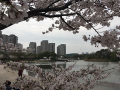 -新江湾城公园
