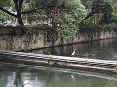 -浙江大学(玉泉校区)