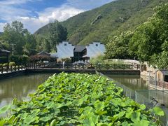 -荷塘味道(水长城店)