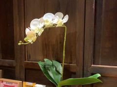 -小吊梨汤·北京菜·烤鸭(望京四元桥购物中心店)
