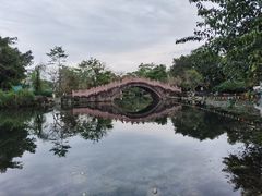 -桂湖森林公园