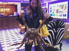 -蟹之国·精品蟹料理(极地店)