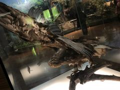 -陕西自然博物馆