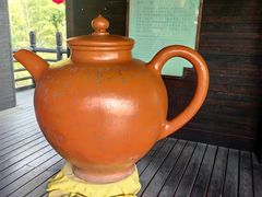 -大唐贡茶院