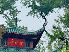 -岳麓山风景名胜区