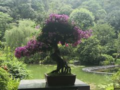 -云溪植物园