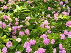 -常州古运河南大街文化旅游区-人民公园