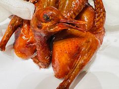 -鸽子侯·家宴·平价海鲜(绿地店)