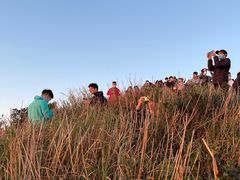 -梧桐山风景名胜区