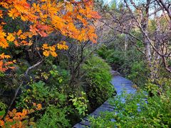 -白草畔自然风景区