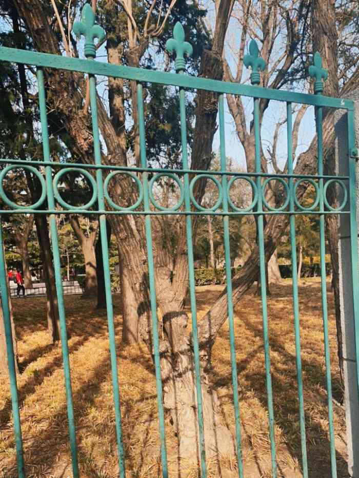 东单公园-"写在最前面东单公园 因为一种神奇的男男."-大众点评移动版