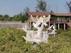 -北海金海湾红树林生态旅游区