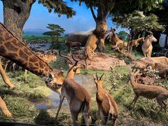 -国家自然博物馆