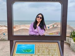 -广东惠东海龟国家级自然保护区