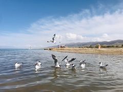 -青海湖国家重点风景名胜区