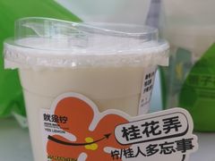 -Yes Lemon就是柠·手打柠檬茶(油坊桥店)