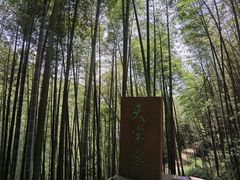 -蜀南竹海景区